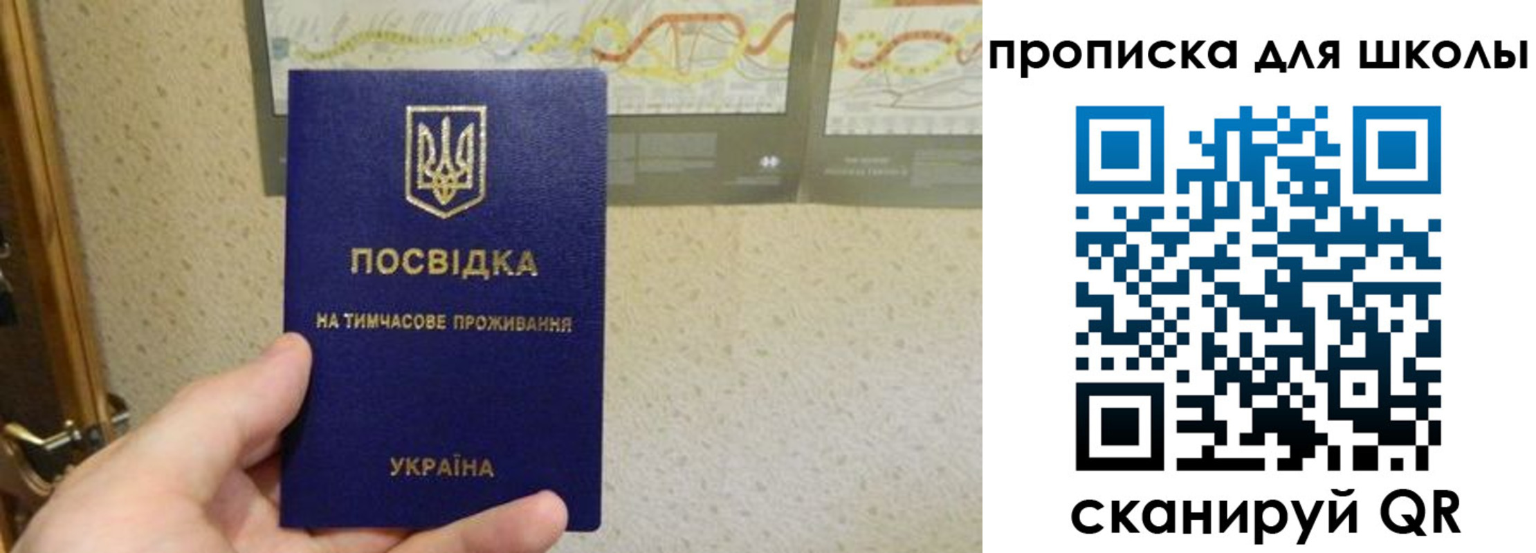 найти адрес прописки в Алексине